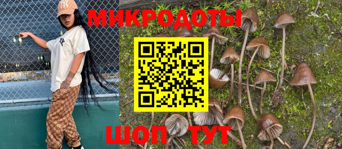 Галлюциногенные грибы Psilocybine cubensis  Вход с VPN  Татарск 